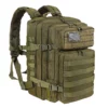 45L Large Basic Gym Backpack Army Green